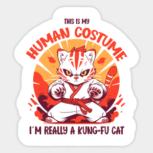 Kung-Fu Cat Halloween T-Shirt | This is My Human Costume | Martial Arts Anime Shirt | Manga Style Tee | Cat Lovers Gift Sticker